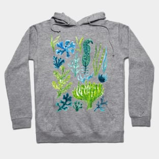 Sea Weeds Hoodie